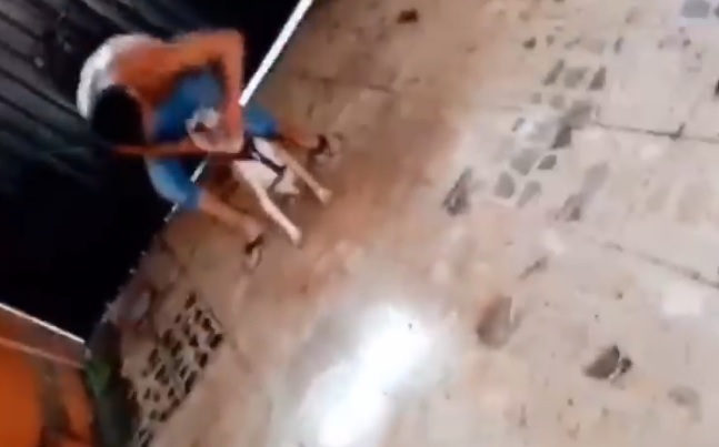 tortura a perro