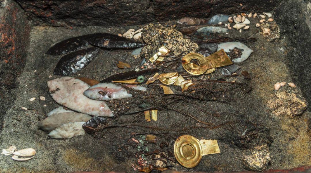 Encuentran restos de aves ataviadas con oro y collares en la excavación del Templo Mayor