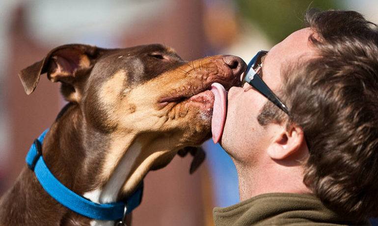 besos de mascotas