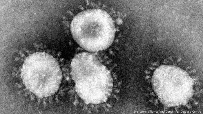 coronavirus