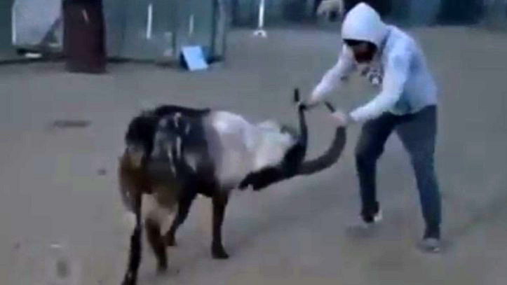 entrenamiento de un luchador de UFC en cuarentena: